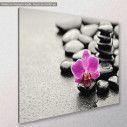 Canvas print, Orchid stones, side