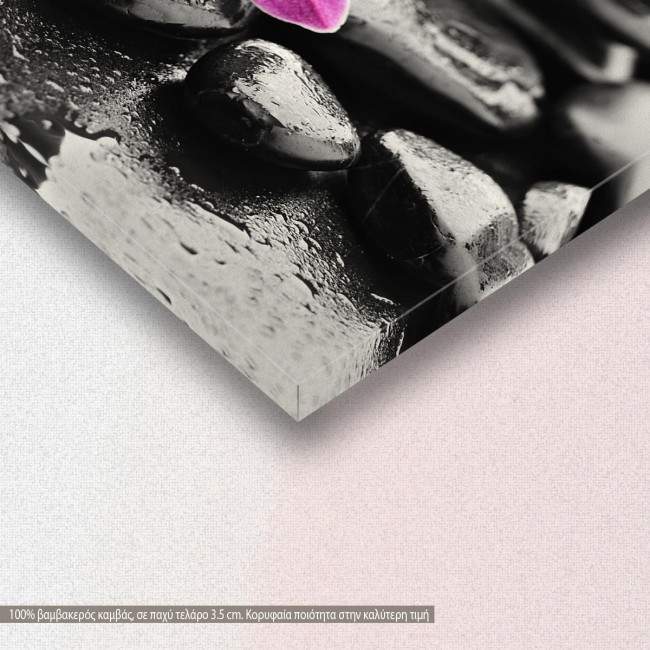 Canvas print, Orchid stones, detail