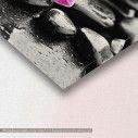 Canvas print, Orchid stones, detail