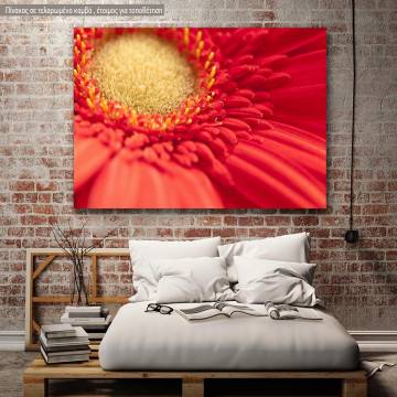 Canvas print, Heart of red gerbera