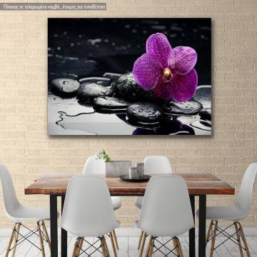 Canvas print, Orchid with water drops