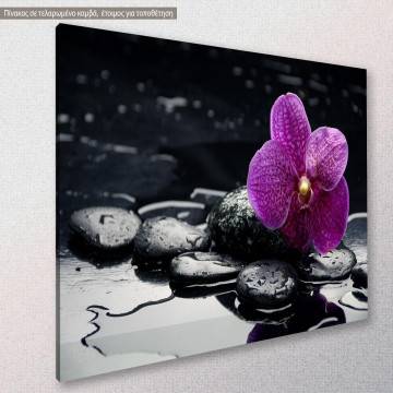 Canvas print Orchid with water drops Framed canvas View 1 2