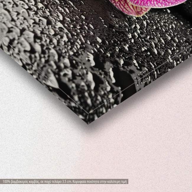 Canvas print Spa, detail