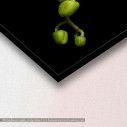 Orchid sprout, πίνακας σε καμβά, λεπτομέρεια