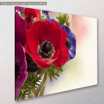 Canvas print Red anemone 2