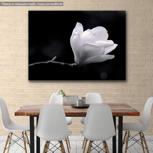 Canvas print Black and white magnolia