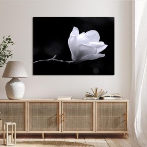 Canvas print Black and white magnolia Framed canvas View 1 2