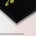 Canvas print Orchid on black background, detail