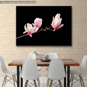 Πίνακας σε καμβά Μανόλιες, Pink magnolia