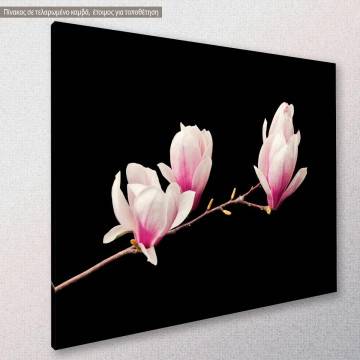 Canvas print Manolies Pink magnolia Framed canvas View 1 2