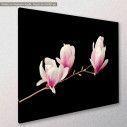 Canvas print Pink magnolia, side
