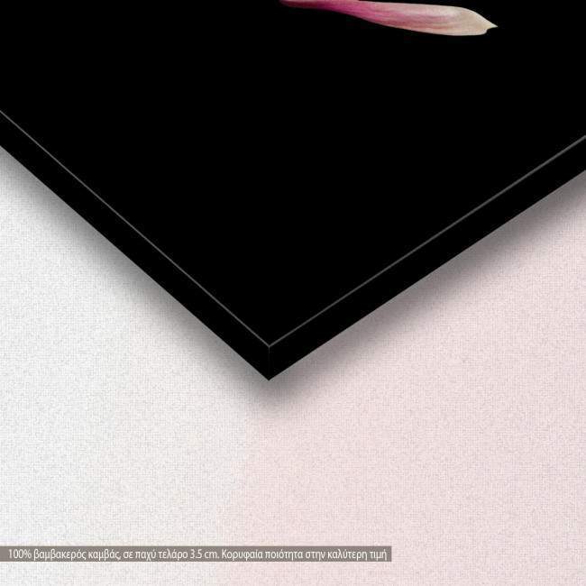 Pink magnolia, πίνακας σε καμβά, λεπτομέρεια