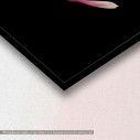 Canvas print Pink magnolia, detail