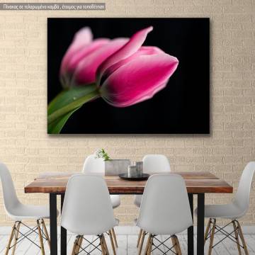 Canvas print Tulips with black background