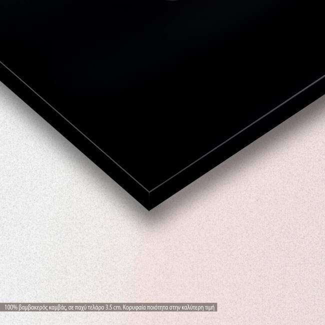 Canvas print Tulips with black background, detail