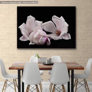 Canvas print Magnolia heap