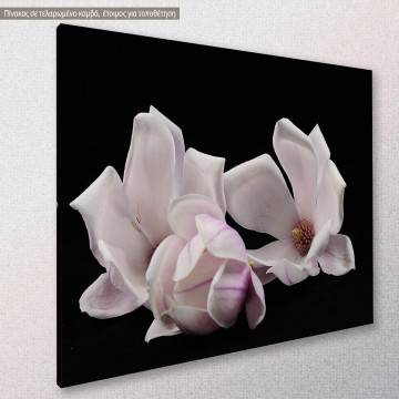 Πίνακας σε καμβά Μανόλια, Magnolia heap 2