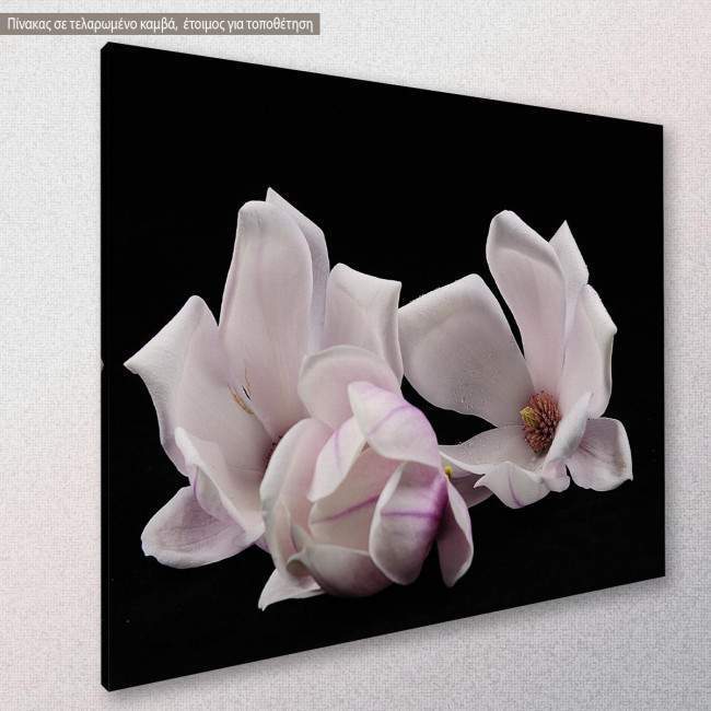 Magnolia heap, πίνακας σε καμβά, κοντινό