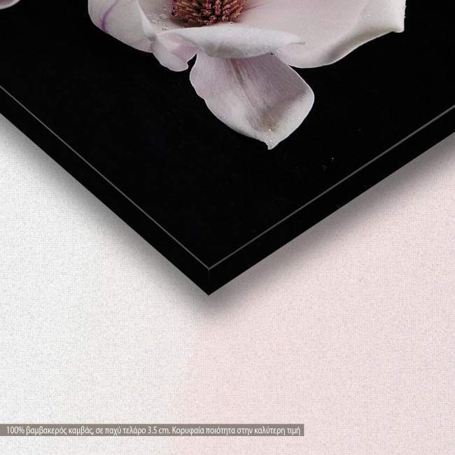 Magnolia heap, πίνακας σε καμβά, λεπτομέρεια