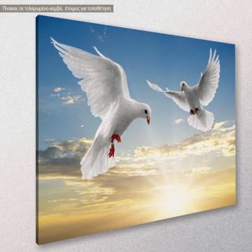 Canvas print Doves Framed canvas View 1 2