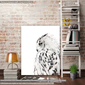 Πίνακας σε καμβά White owl