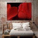 Canvas print Wet cyclamen flower