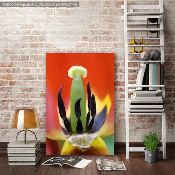 Πίνακας σε καμβά Τουλίπα, Red tulip heart