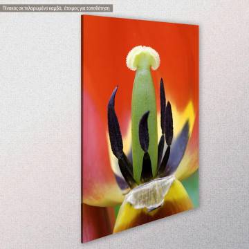 Πίνακας σε καμβά Τουλίπα Red tulip heart Όψη 1 2