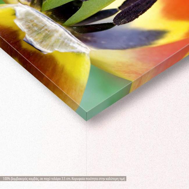 Red tulip heart, πίνακας σε καμβά, λεπτομέρεια