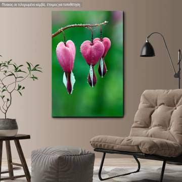 Canvas print Pink bleeding heart