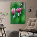 Canvas print Pink bleeding heart