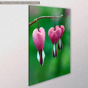 Πίνακας σε καμβά Pink bleeding heart Όψη 1 2