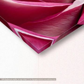 Canvas print Rose Single pink rose View 1 2