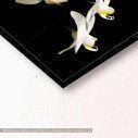 Canvas print Orchidaceae Phalaenopsis, detail