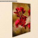 Card with red flowers, πίνακας σε καμβά, κοντινό