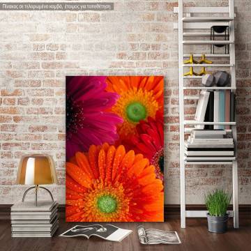 Canvas print Daisy-gerbera background