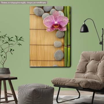 Canvas print  Pink orchid and gray stones