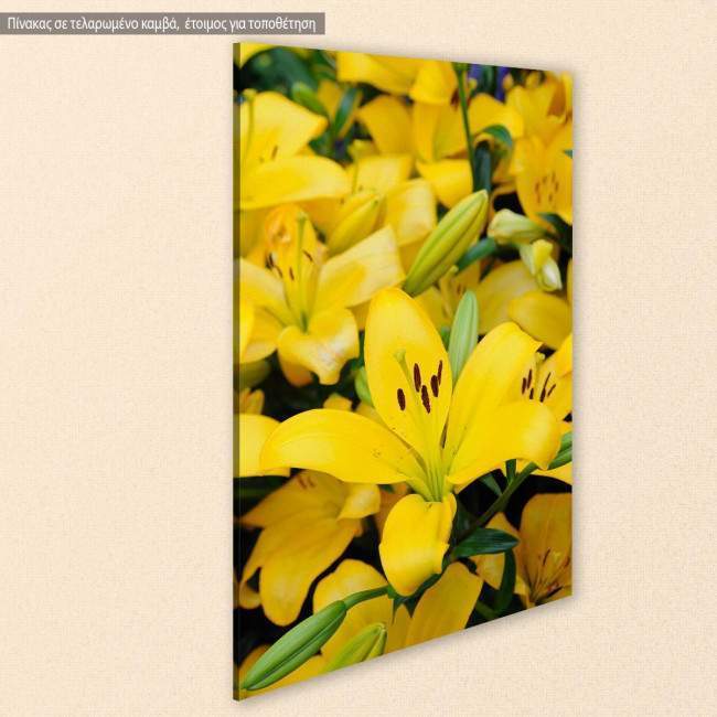 Canvas print Yellow lilies, side