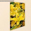 Canvas print Yellow lilies, side