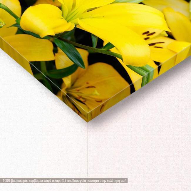 Canvas print Yellow lilies, detail