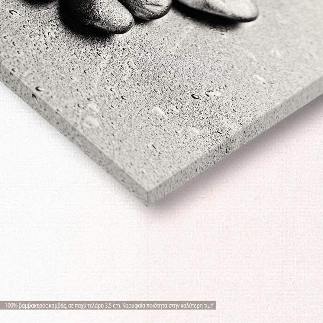 Canvas print Orchid spa stones, detail