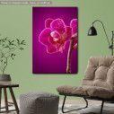 Πίνακας σε καμβά Ορχιδέα, Mini orchid on pink background