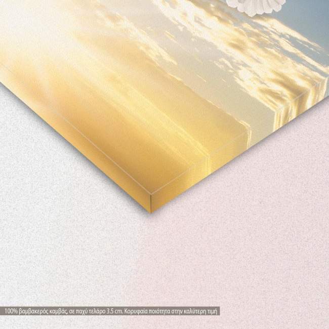 Canvas print Doves, detail