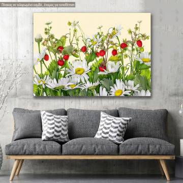 Canvas print, Strawberry daisies