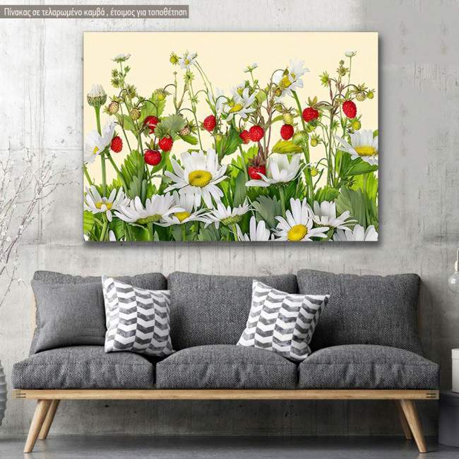 Πίνακας σε καμβά Μαργαρίτες φράουλες, Strawberry daisies