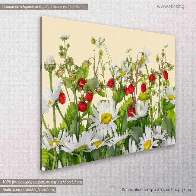 Canvas print, Strawberry daisies, side