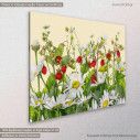 Strawberry daisies, πίνακας σε καμβά, κοντινό
