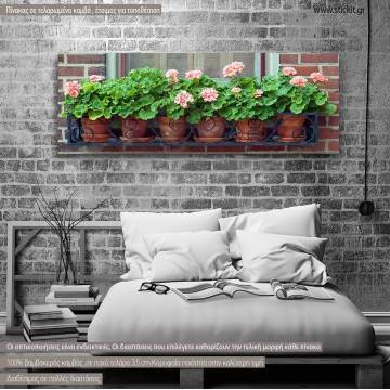 Canvas print Geraniums, panoramic