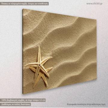 Canvas print Star fish at the beach Framed canvas View 1 2