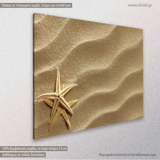 Canvas print Star fish at the beach, side